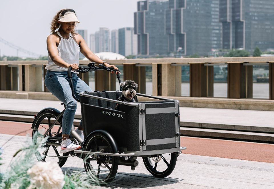 Van Rixtel Urban Plus – Elektrisches Lastenrad