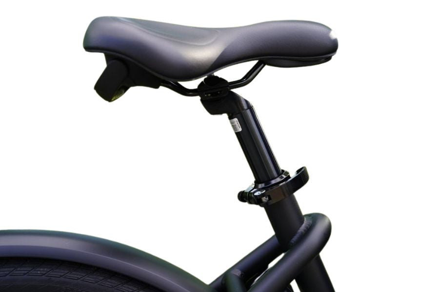 Royal 2W Premium – Elektrisches zweirädriges Lastenrad