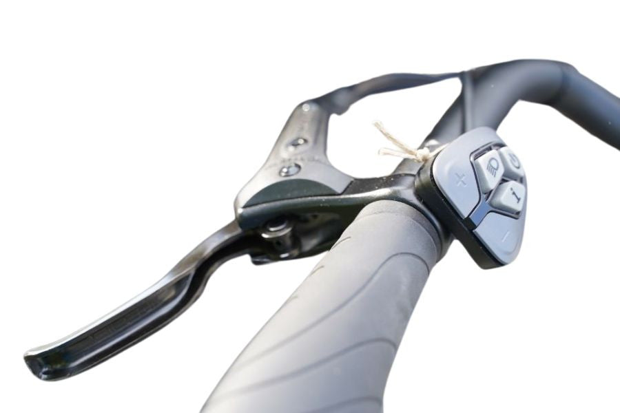 Royal 2W Premium – Elektrisches zweirädriges Lastenrad