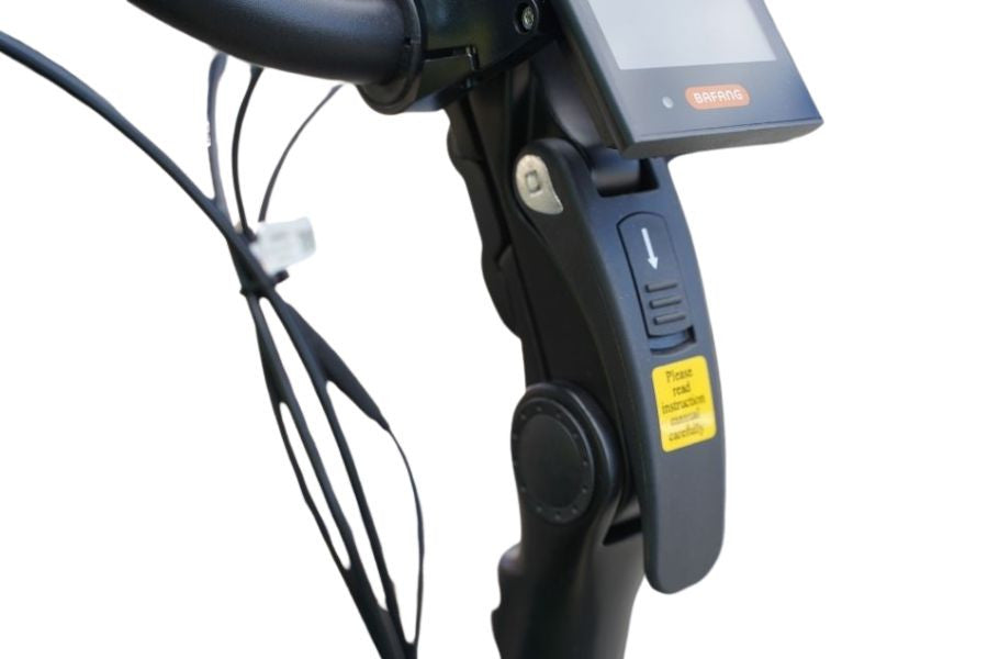 Royal 2W Premium Plus - Elektrisches Zweirad-Lastenrad