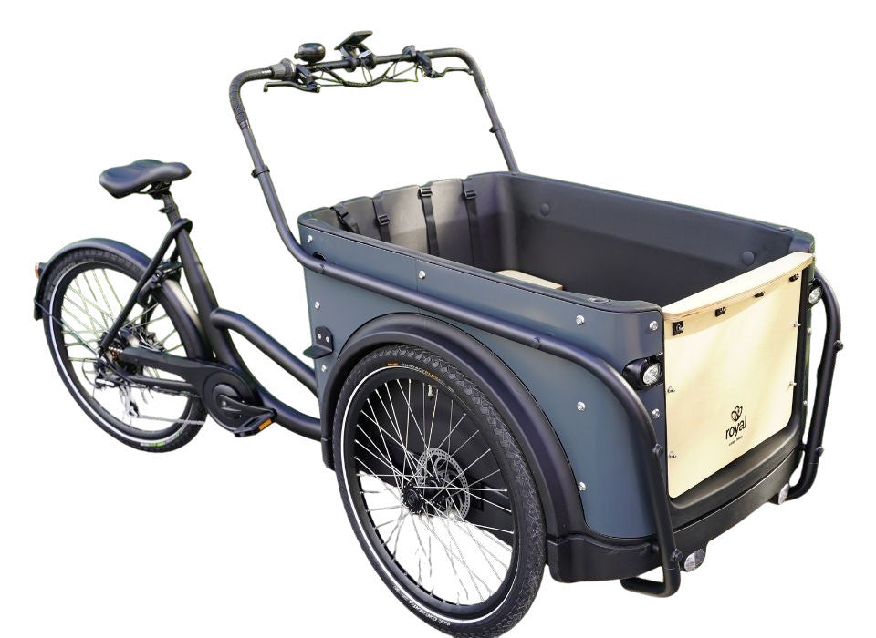 Royal 3W Eco – Elektrisches Dreirad-Lastenfahrrad