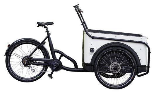 Royal 3W Eco – Elektrisches Dreirad-Lastenfahrrad