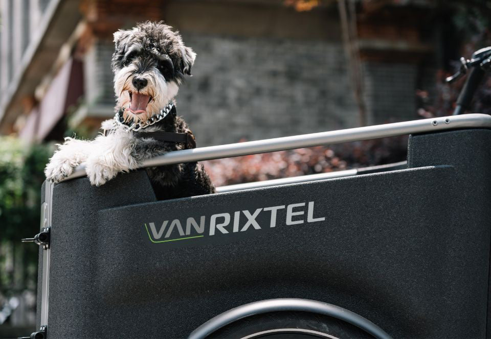 Van Rixtel Urban Plus – Elektrisches Lastenrad