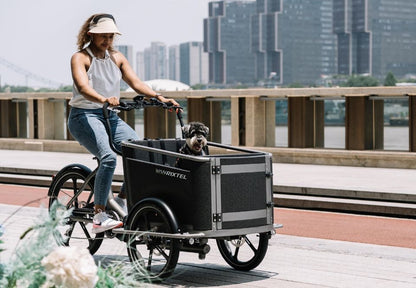 Van Rixtel Urban Plus – Elektrisches Lastenrad