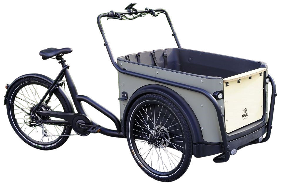 Royal 3W Eco – Elektrisches Dreirad-Lastenfahrrad