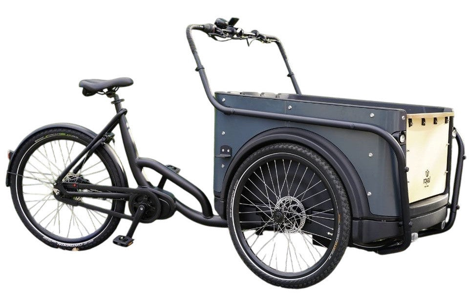 Royal 3W Premium – Elektrisches Dreirad-Lastenrad