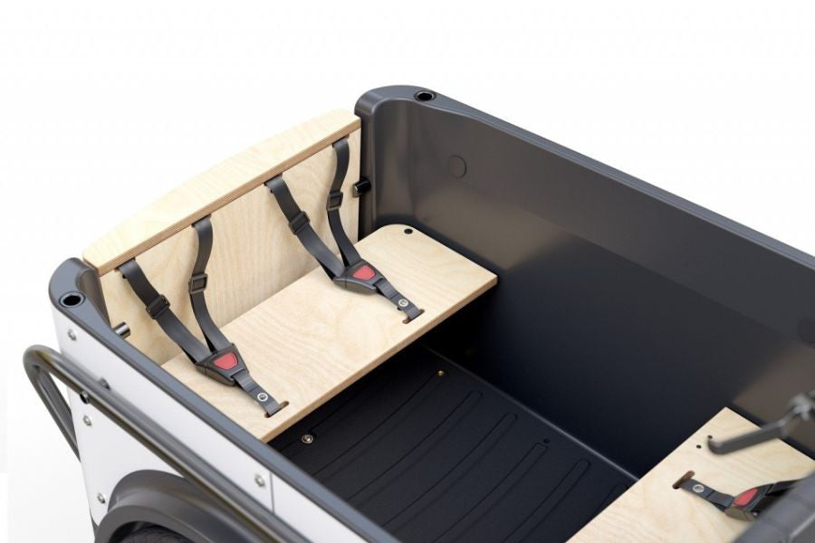 Royal 3W Premium – Elektrisches Dreirad-Lastenrad
