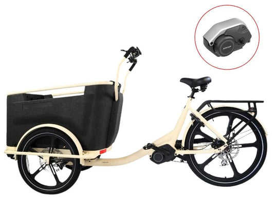 Van Rixtel Urban Plus – Elektrisches Lastenrad
